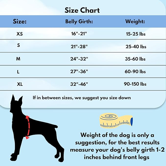 ShawnCo Dream Walk No-Pull Dog Harness- Adjustable, Comfortable, Easy to Use Pet Halter to Help Stop Pulling for Small, Medium and Large Dogs- Art Pattern Designs (Stars and Stripes, S)
