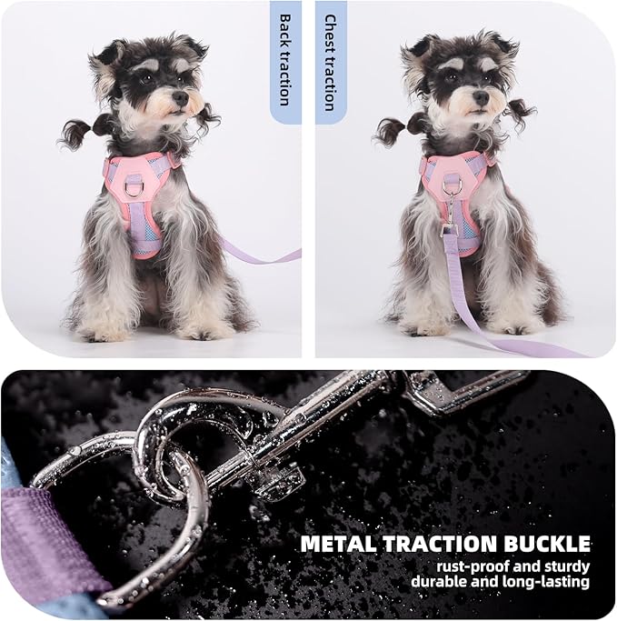 Small Dog Harness and Leash Set, Breathable Mesh Puppy Harness, Adjustable Dog Harness for Small Medium Large Dogs, No-Pull Pet Harness for Daily Walking (Blue, Small)