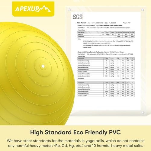 APEXUP Yoga Ball - Anti-Slip Heavy Duty Exercise Ball for Fitness & Core Workout | 5 Sizes Available