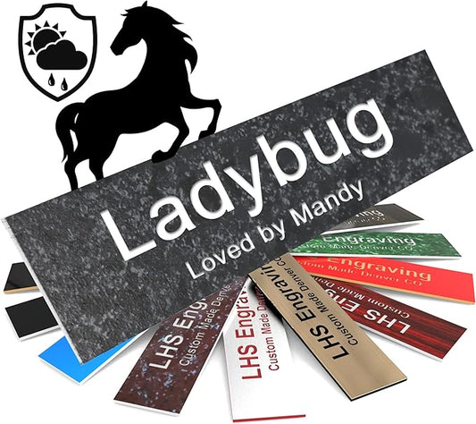 Personalized Horse Stall Name Plates, 2x10 Horse Stall Signs with Adhesive, All Weather UV Protected, Mojave Plastic White Letters - Made in USA - N8
