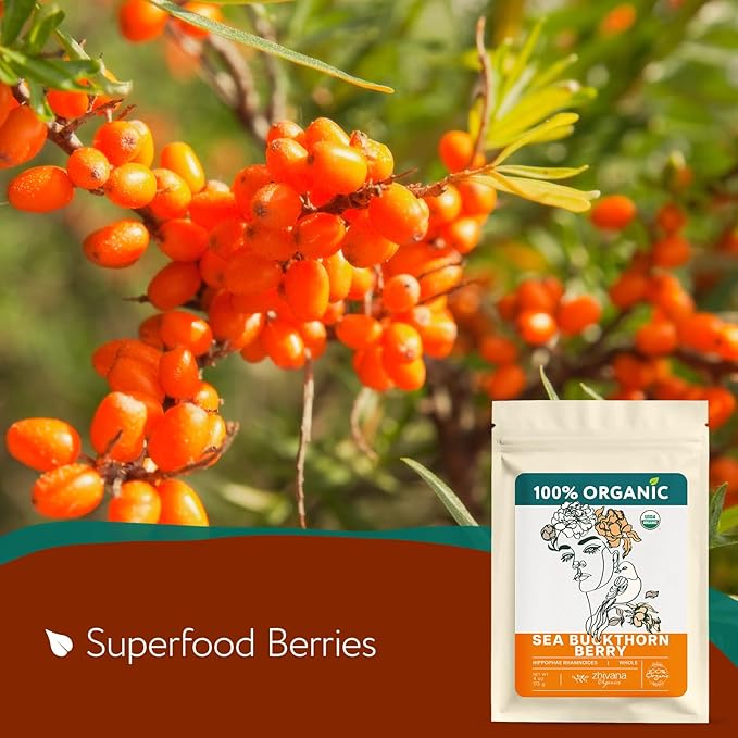 Super Value Pack - Organic Sea Buckthorn Berry Tea 5 LB - Seabuckthorn, Seaberry, Seabuckthorn, Espino Amarillo