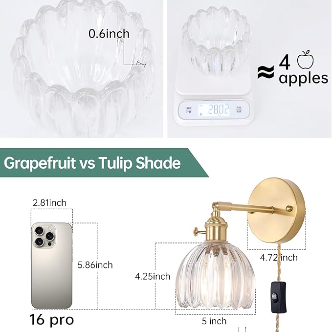 Plug in Wall Sconce, Transparent Tulip Glass Lampshade Wall Light Plugin Corded for Bedside Bedroom Doorway, 2 Pack