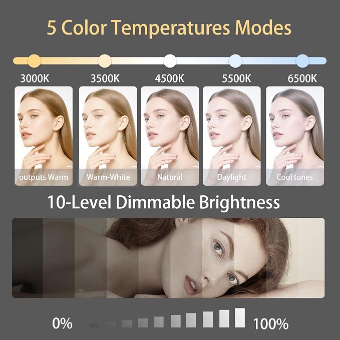 6" Ring Light Video Conference Kit, 5-Color 10-Brightness Clip-On Light