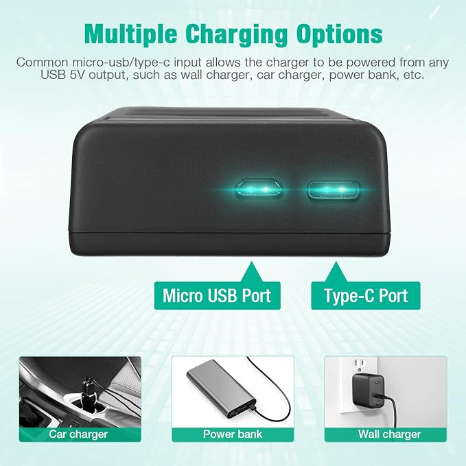 FirstPower DMW-BLC12 DMW-BLC12PP Battery and Dual Slot Charger