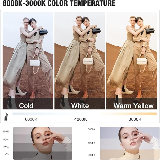 BEIYANG Softbox Lighting Kit, 2x20''x28'' Photography Soft Box