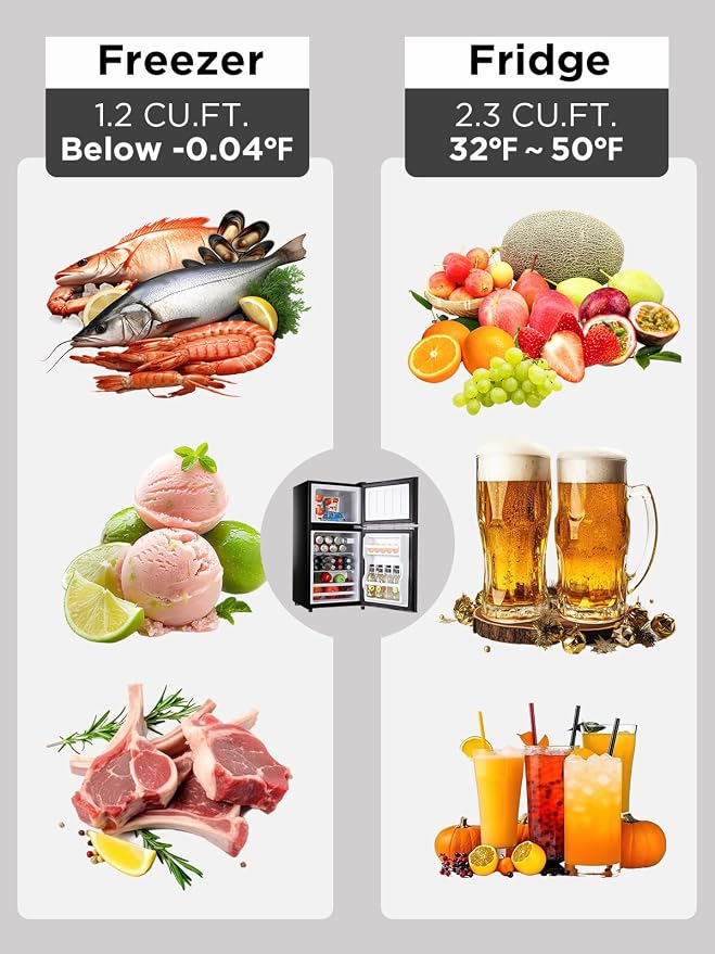 F.W.WOOLWORTHS 3.5 Cu.Ft Refrigerator with Freezer | Compact Fridge with 2 Doors for Office, Kitchen, Dorm and Bedroom, 7 Level Temp Adjustable Thermostat, Black