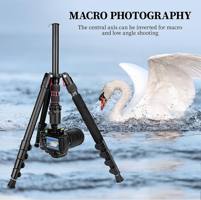 81" Professional Tripod for Camera & Phone -Tall, Compact Travel Tripod Stand