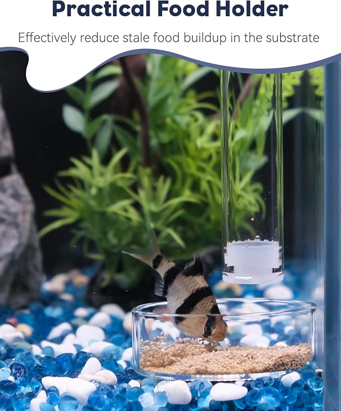 Pawfly 12 Inch Aquarium Shrimp Feeder Set, Clear Glass Tube with Dish & 2 Suction Cups, Feeding Supplies for Fish and Shrimp Tanks