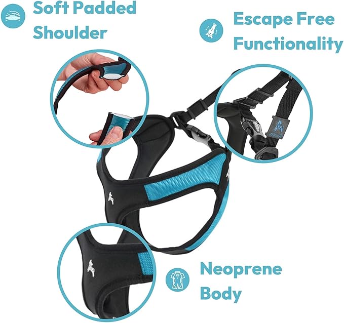 Gooby Escape Free Easy Fit Harness - Blue, Large - No Pull Step-in Patented Small Dog Harness with Quick Release Buckle - Perfect On The Go No Pull Harness for Small Dogs or Medium Dog Harness