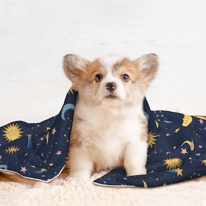 Double Sided Plush Pet Blanket with Cozy Dot Texture and Smooth Reverse, Colorful Stars, Reversible Throw for Dogs Cats on Couches Beds Crates