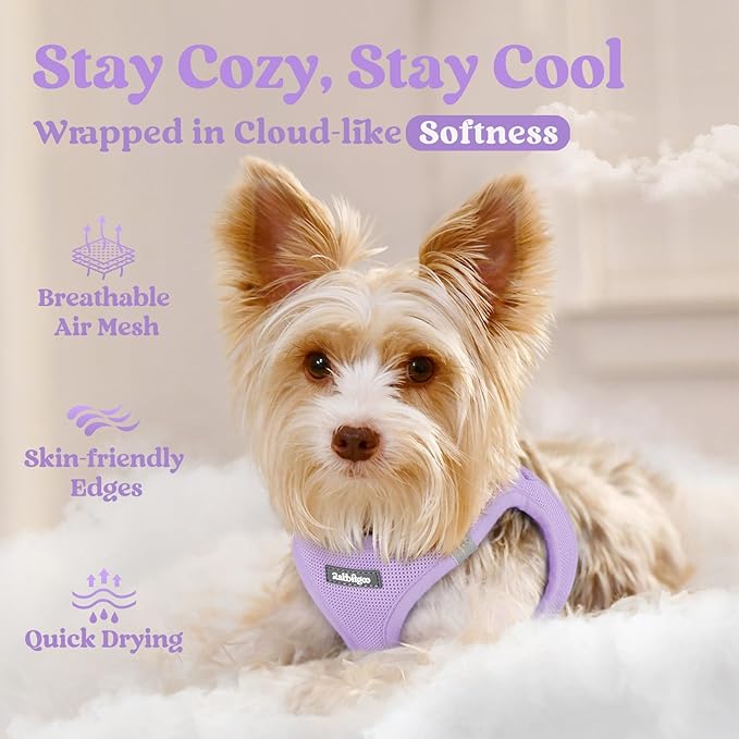 rabbitgoo Small Dog Harness, Step-in Soft Mesh Puppy Vest with Safety Buckle, Breathable Reflective Pet Harness for Small Sized Dogs, Light Purple M