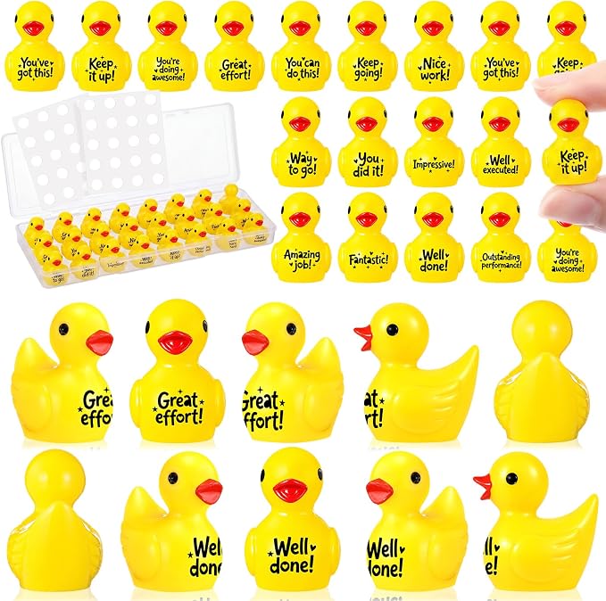 Skylety 24 Pcs Back to School Mini Resin Ducks