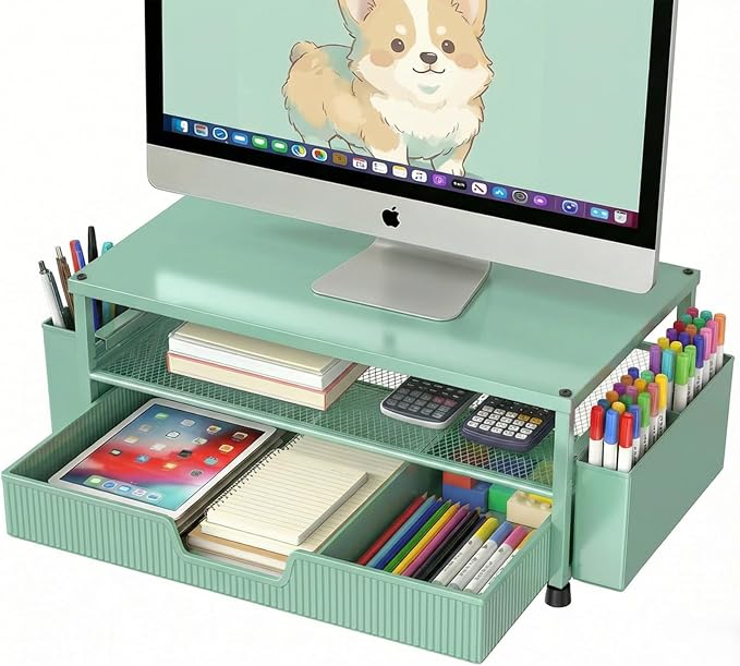 ECOLOVI Desk Organizer and Accessories, 2-Tier Computer Monitor Stand Rise