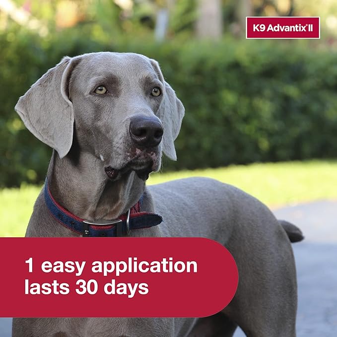 K9 Advantix II XL Dog Vet-Recommended Flea, Tick & Mosquito Treatment & Prevention | Dogs Over 55 lbs. | 4-Mo Supply