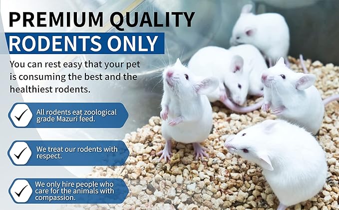 MiceDirect EST. 2003 25 Frozen Rat Jumbo Feeders Snake Food for Adult Red Tail Boas (9-11 in)(6875 Grams Min)