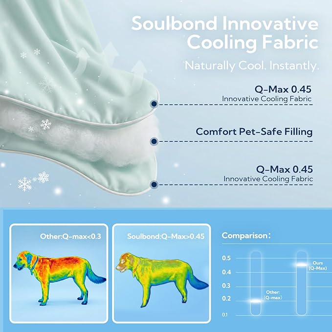 Soulbond Cooling Blanket for Large Dogs - Q-MAX>0.45, Washable Cool Pet Cats Throw Blanket for Hot Weather, Self-Cooling Soft Dog Mat for Bed Crates Couch Sofa Cars(40"x50", Aqua Green)