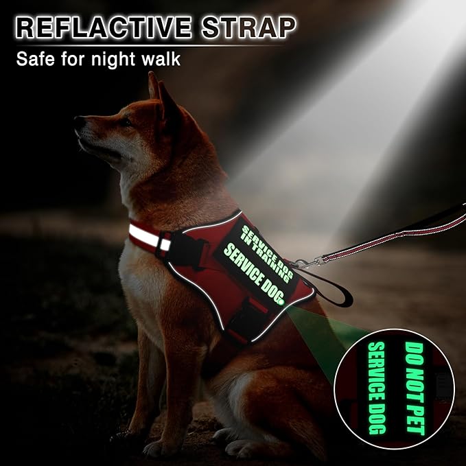 Service Dog Vest Harness and Leash Set+10 Patches,No Pull&Adjustable Reflective Dog Harness with Soft Padded Handle for Training/Everyday,Fit Small/Medium/Large/Extra-Large Dogs (Red S)