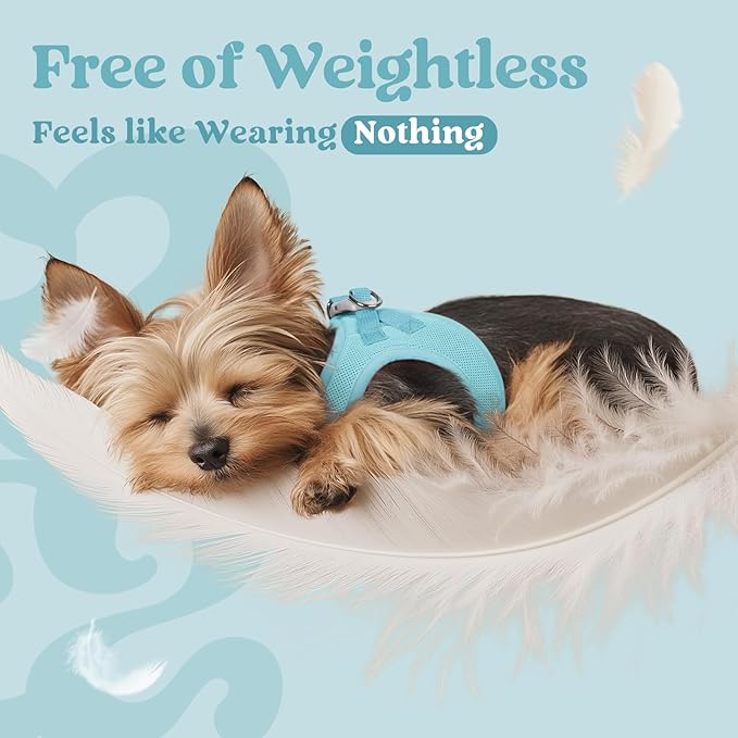 rabbitgoo Small Dog Harness, Step-in Soft Mesh Puppy Vest with Safety Buckle, Breathable Reflective Pet Harness for Small Sized Dogs, Mint Blue S