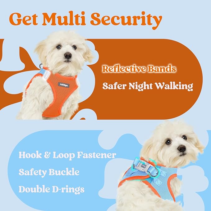 rabbitgoo Small Dog Harness, Step-in Soft Mesh Puppy Vest with Safety Buckle, Breathable Reflective Pet Harness for Extra Small Dogs, Blue & Orange XXXS