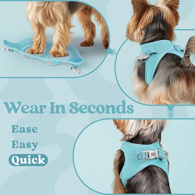 rabbitgoo Small Dog Harness, Step-in Soft Mesh Puppy Vest with Safety Buckle, Breathable Reflective Pet Harness for Small Sized Dogs, Mint Blue M