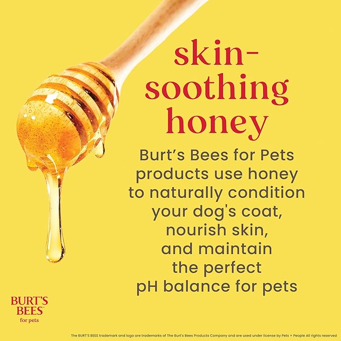 Burt's Bees for Pets Dog Paw and Nose Lotion with Rosemary and Olive Oil, Moisturizing Paw Balm for Dry Cracked Pads and Dog Nose Butter Moisturizer, Paw Lotion for Dogs Skin Care, 4 Fl Oz - 2 Pack