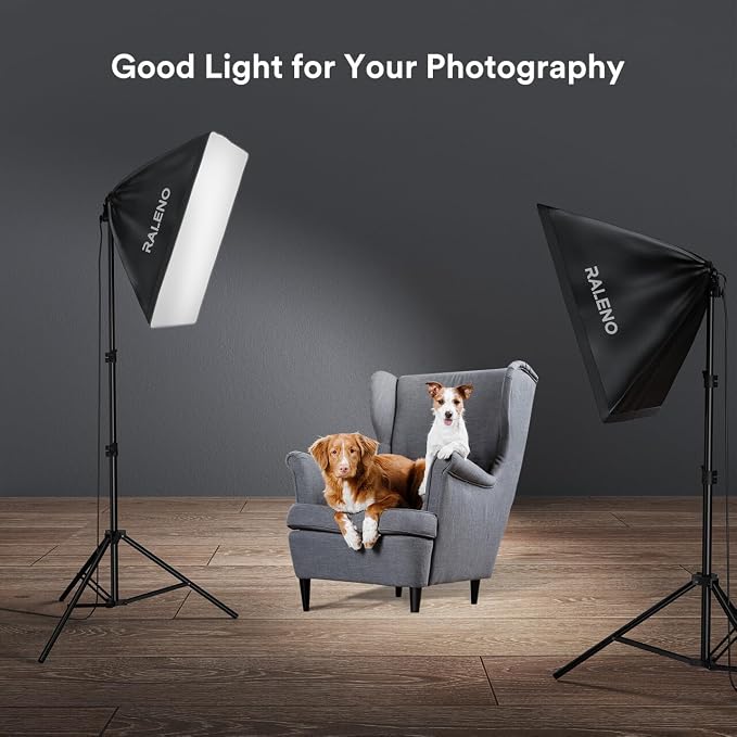 RALENO Softbox Lighting Kit, 20X28-Inch Softbox Photography Lighting