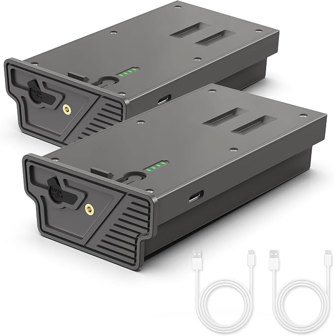 Lesaps 2-Pack Rechargeable Reveal Lipo Lithium Battery Pack