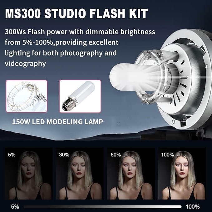 2pcs Godox MS300 Studio Flash Kit