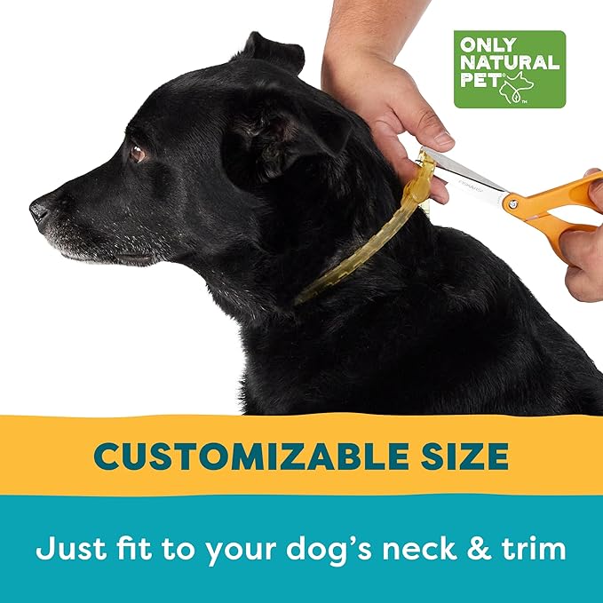 Only Natural Pet EasyDefense Flea & Tick Dog Collar - Canine Flea Control Collars - One Size Fits All - Pet Care That Protects up to 4 Months - for Dogs (Single Collar)