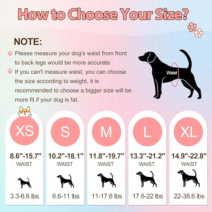 Ambreview Disposable Dog Diapers Female, Just Pull It Up, Doggie Diapers for Female Dogs, Strong Absorbency | Leak Proof, for Dogs in Heat | Elderly | Disabled, M 30 PCS