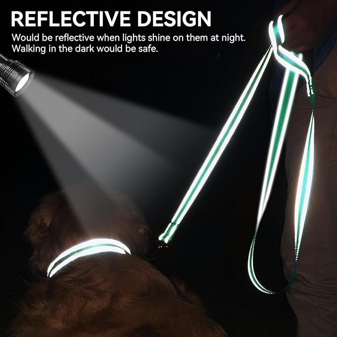 Joytale Dog Leash, 6 FT Double-Sided Reflective, Padded Handle Nylon Heavy Duty Leashes for Medium & Large Dogs Walking, Teal