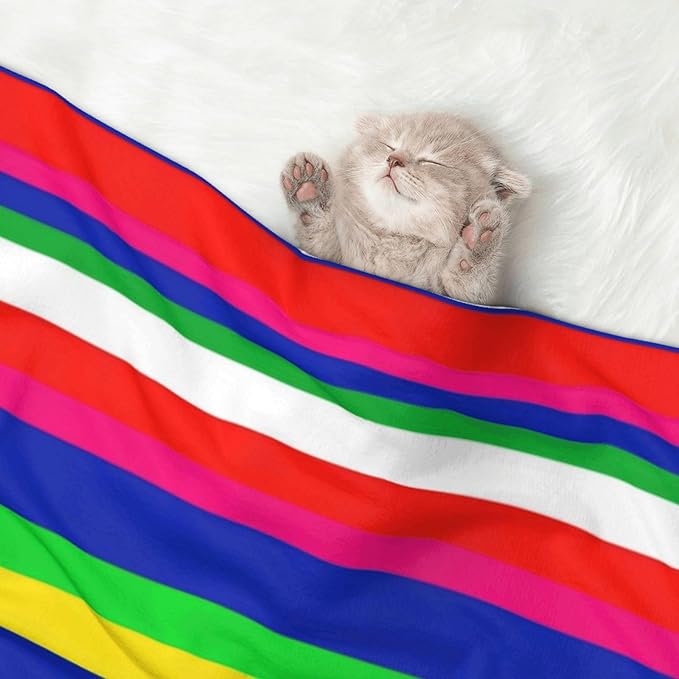 Dog and Cat Blanket in One, Novel Colorful Mexican Blanket Stripes, Double Sided Plush Throw with Raised Dot Pattern on One Side and Flat Velvet on Other for Variety