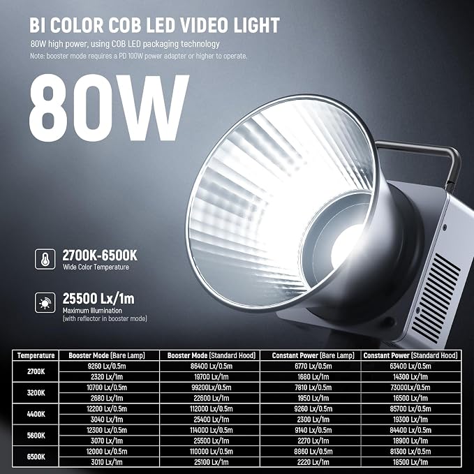 NEEWER 80W LED Video Light