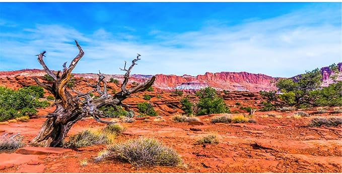 AWERT 48x20 inches Reptile Habitat Background Blue Sky Oasis Orange Desert Terrarium Background