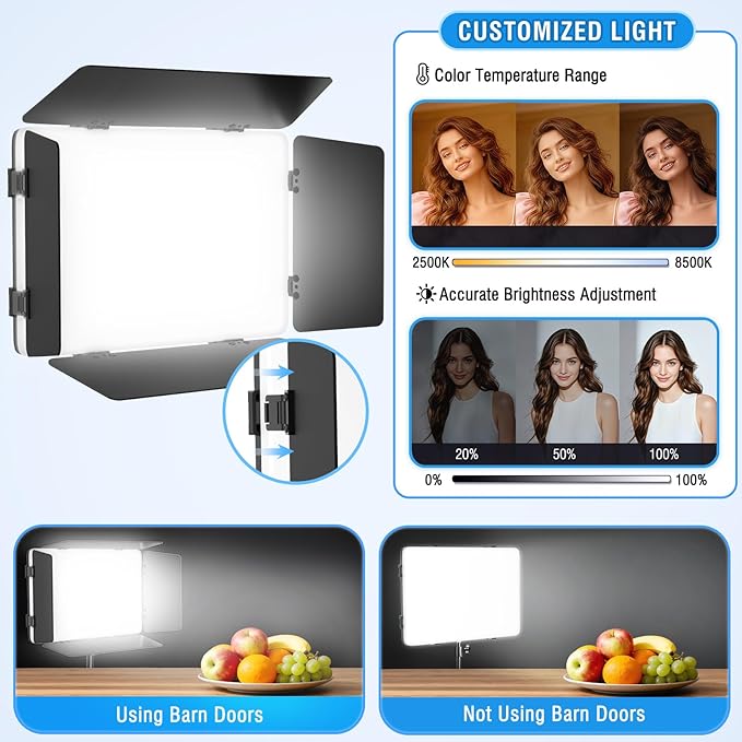 2 Pack LED Video Light with Barndoor, 20W Bi-Color LED Studio Lights Panel