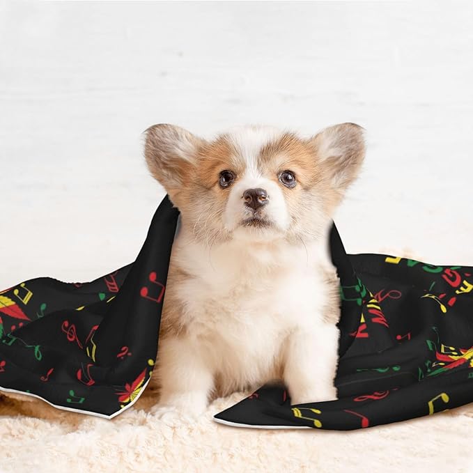 Double Sided Plush Pet Blanket for Small Large Animals, Rasta Reggae Music Note Weedleaf Leaf, Reversible Throw with Dimpled Dot Side and Flat Side for Kennels Living Rooms