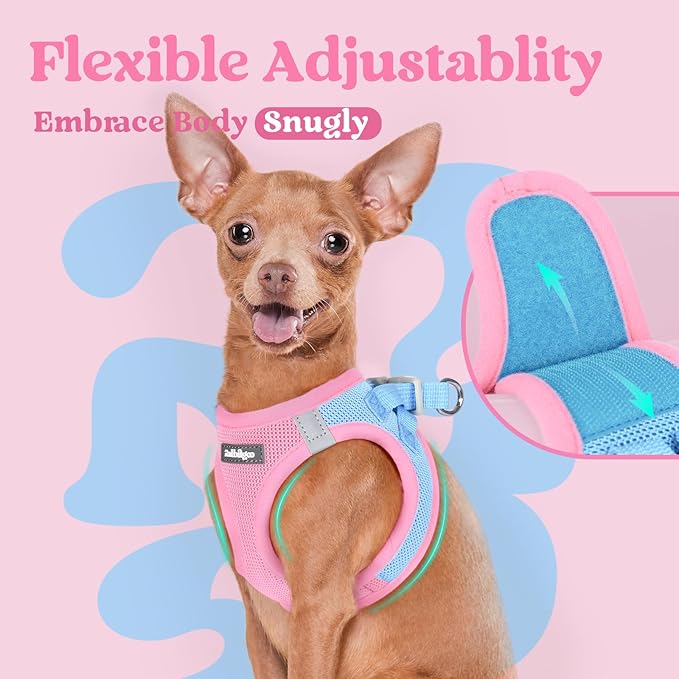 rabbitgoo Small Dog Harness, Step-in Soft Mesh Puppy Vest with Safety Buckle, Breathable Reflective Pet Harness for Extra Small Dogs, Blue & Light Pink XXS