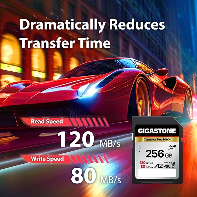 【5-Years Data Recovery】 GIGASTONE 256GB SD Card 2-Pack, 4K Camera Pro MAX