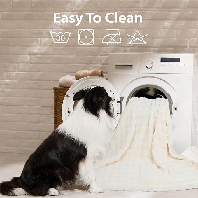 Dog Blankets Washable Pet Blanket - Fluffy Fuzzy Cat Puppy Blanket with Premium 300GSM 3D Fleece Bubble for Pet Kitten Doggy, Cream, 30x40IN