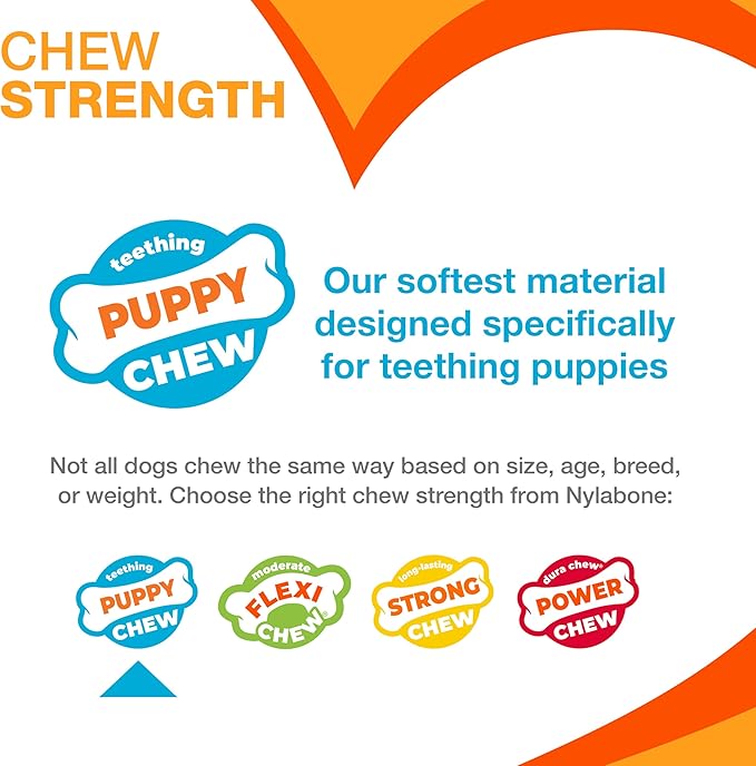 Nylabone New Puppy Starter Kit, Puppy Teething Toys, Chew Bones for Puppies, Peanut Butter & Chicken Flavor, X-Small Dogs - Up to 15 lbs., 2 Pack