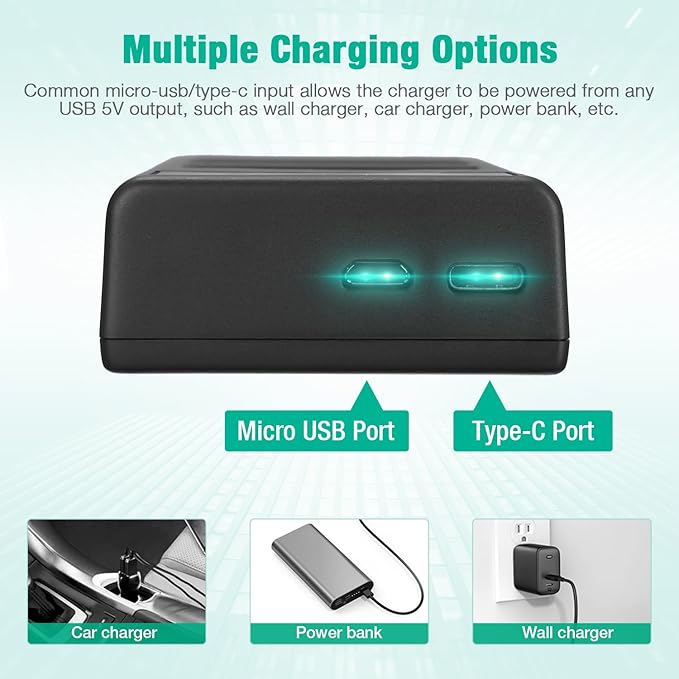 FirstPower BP-511 BP-511a Battery 2-Pack 2200mAh and Dual USB Charger