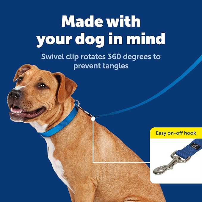 PetSafe Nylon Leash - Helps Maintain Secure Connection on Walks - Durable Pet Leash with Easy Clip - 1 in. x 6 ft. - Royal Blue