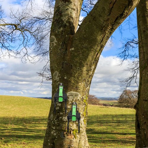 Levemolo Tree Climbing Shoes with Ankle Buckles and Steel Spikes Durable Non-Slip Climbing Tools Set for Outdoor Arborist Work and Recreational Tree