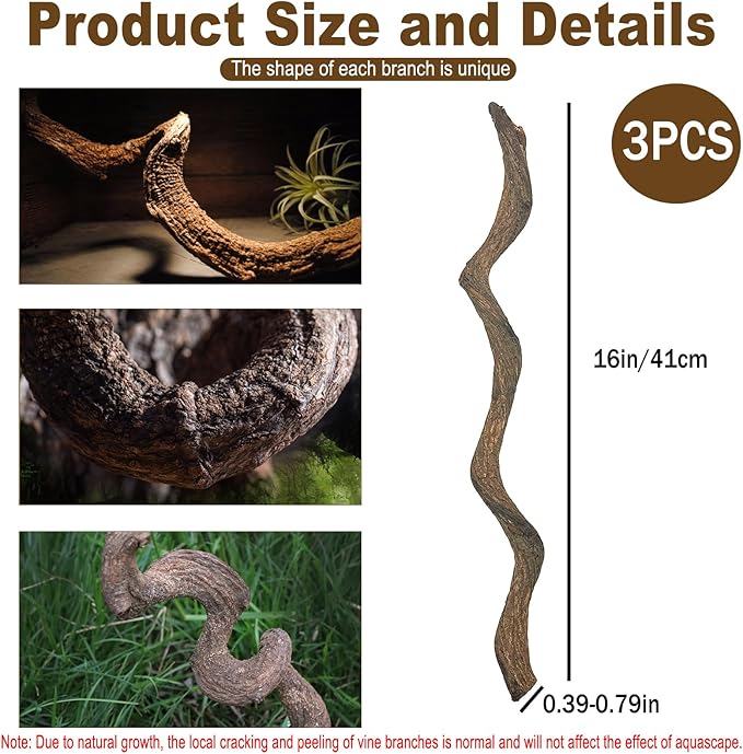BNOSDM Reptile Forest Climbing Branch Decor Crested Gecko Climb Wood Natural Branches Tree for Snake Frog Chameleon Spider Bearded Dragon Terrarium Habitat Tank Accessories,3PCS