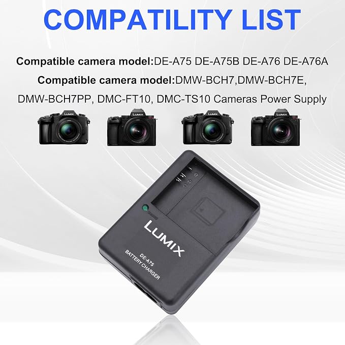 DE-A75 DMW-BCH7E Battery Charger