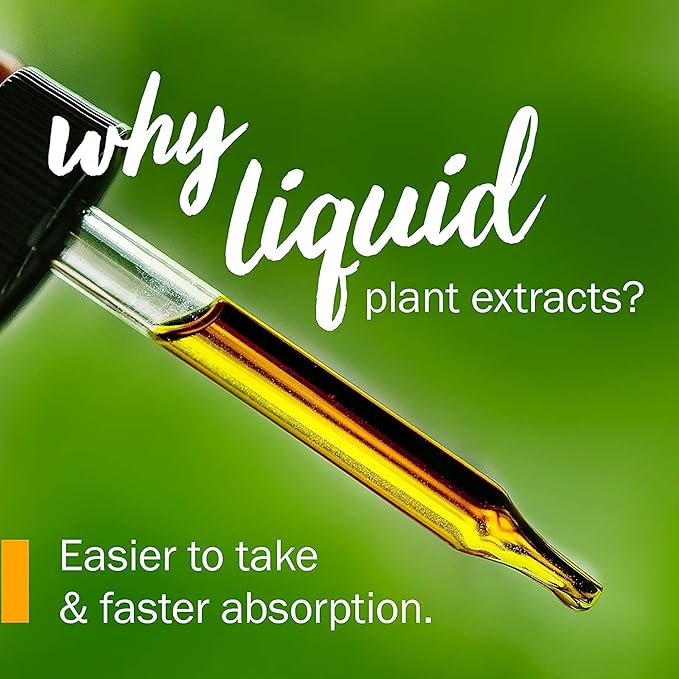 Herb Pharm Certified Organic Rue Liquid Extract - 1 Ounce (Pack of 2)