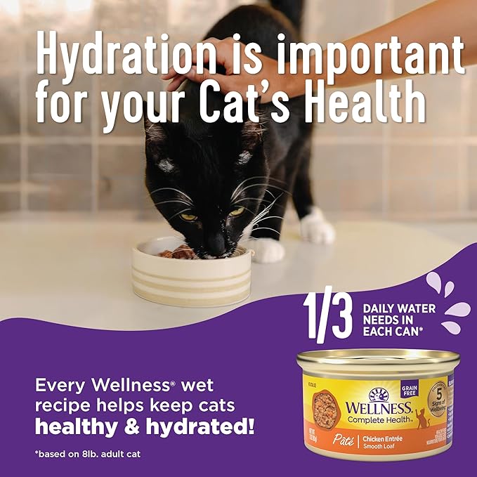 Wellness Complete Health Minced Adult Wet Cat Food, Natural, Protein-Rich, Grain Free, 3 Ounce, 24 Pack, (Turkey Entrée)