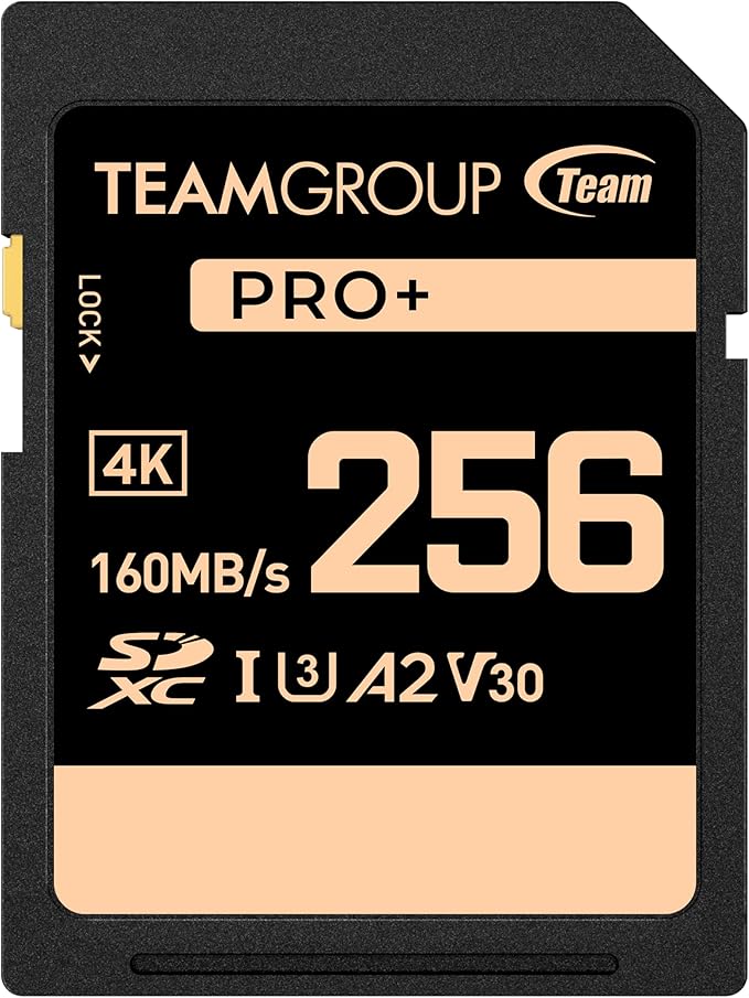 TEAMGROUP PRO 256GB UHS-I U3 A2 V30 4K UHD Read/Write Speed up to 160/120MB/s