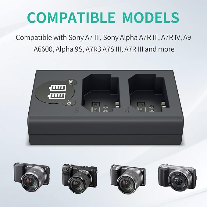 LP NP-FZ100 Camera Battery Charger, Dual USB Charger