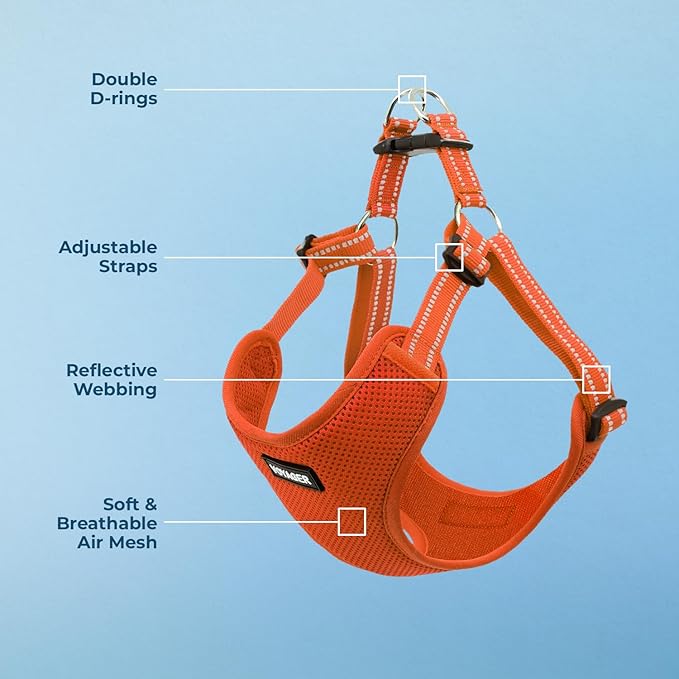 Best Pet Supplies Voyager Adjustable Step-in Flex Breathable Mesh Dog Harness for Small Medium Large Dogs (Orange), S